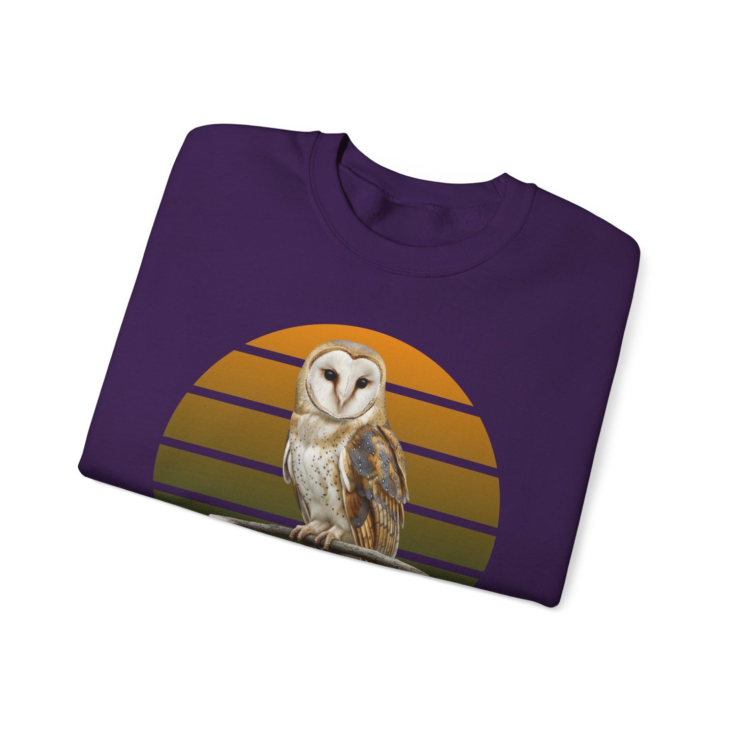Barn Owl Sweatshirt | Bird Watcher Crewneck | Unisex Songbird Gift for Bird Lovers