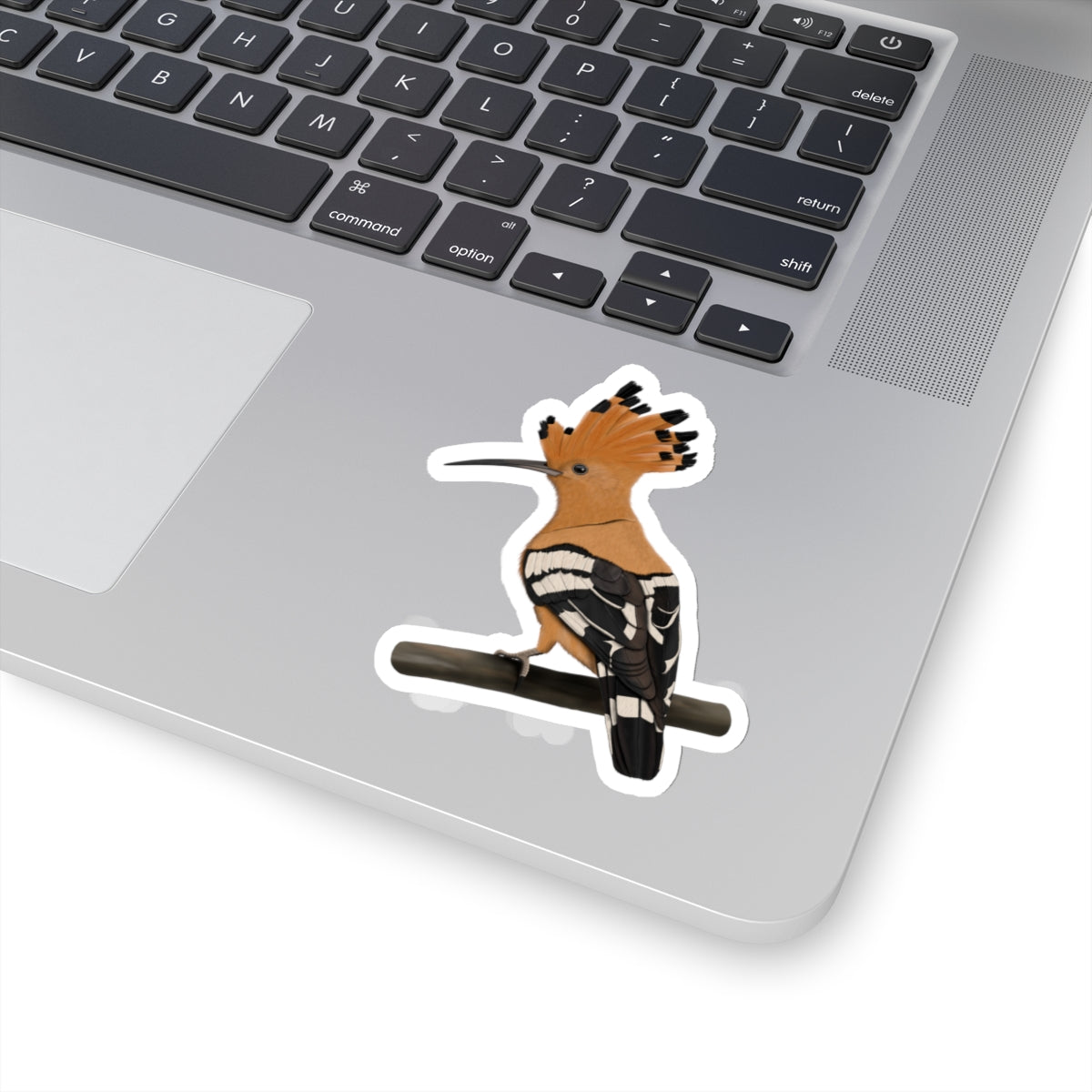 Hoopoe Bird Kiss-Cut Sticker - jz.birds