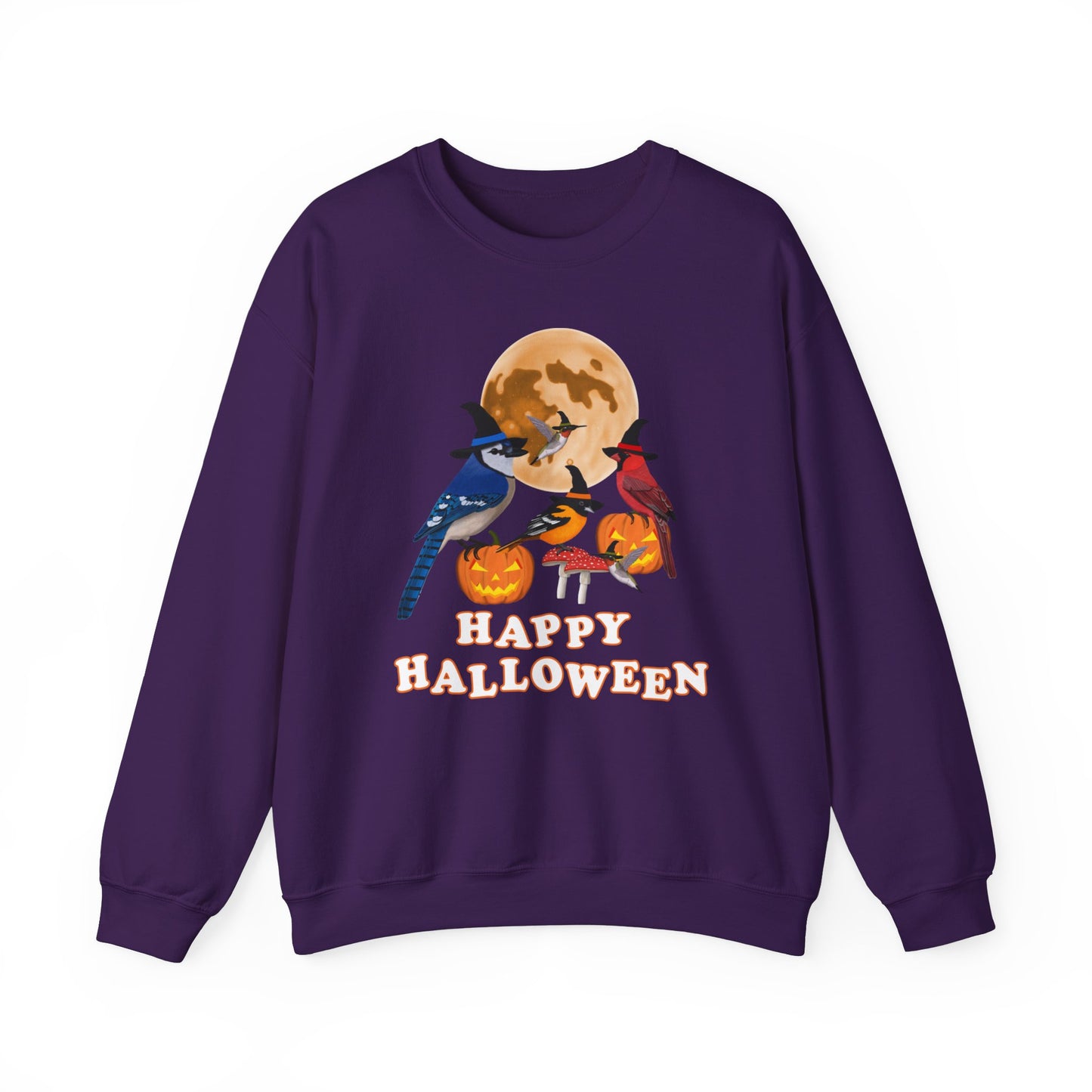 Blue Jay Cardinal Oriole Hummingbird Halloween Birds Witch Birdwatcher Sweatshirt
