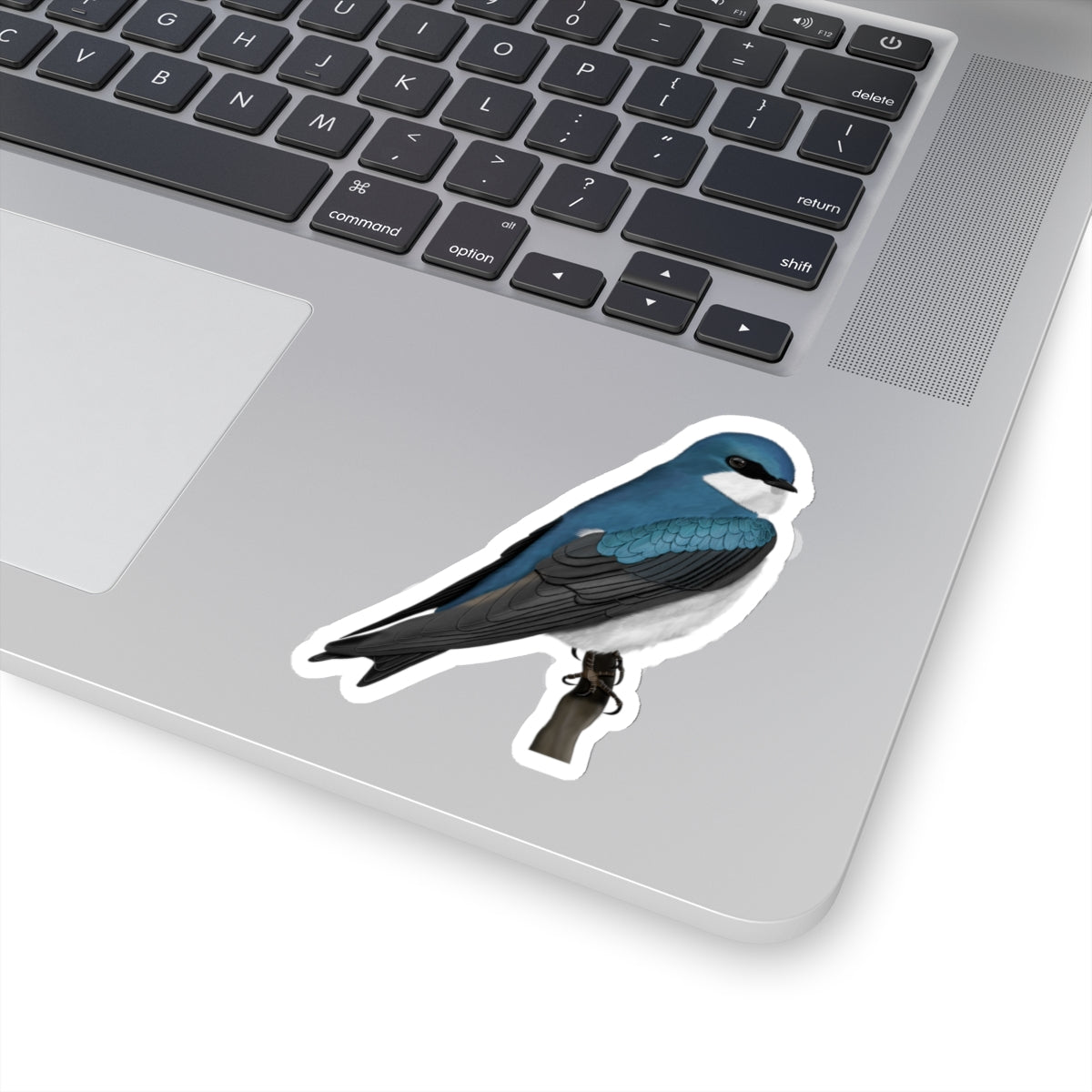 Tree Swallow Bird Kiss-Cut Sticker - jz.birds