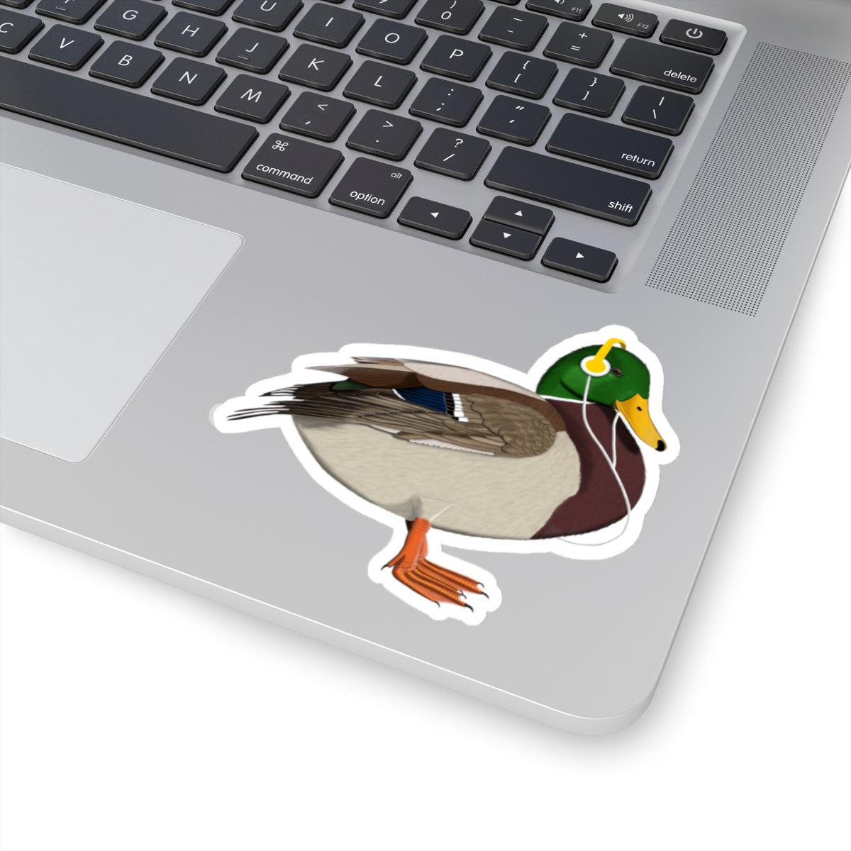 Mallard Paper products – Fall Bestsellers and Home & Living style