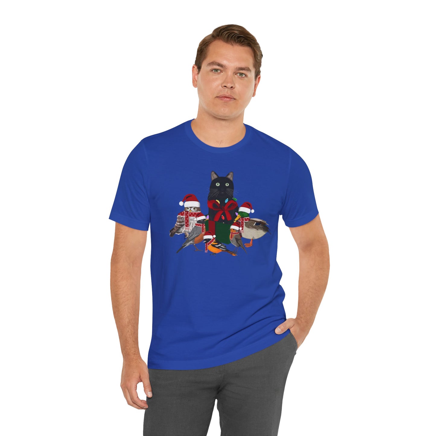 Robin Mallard Oriole Owl with Cat in a Box and Fairy Lights Christmas Bird T-Shirt