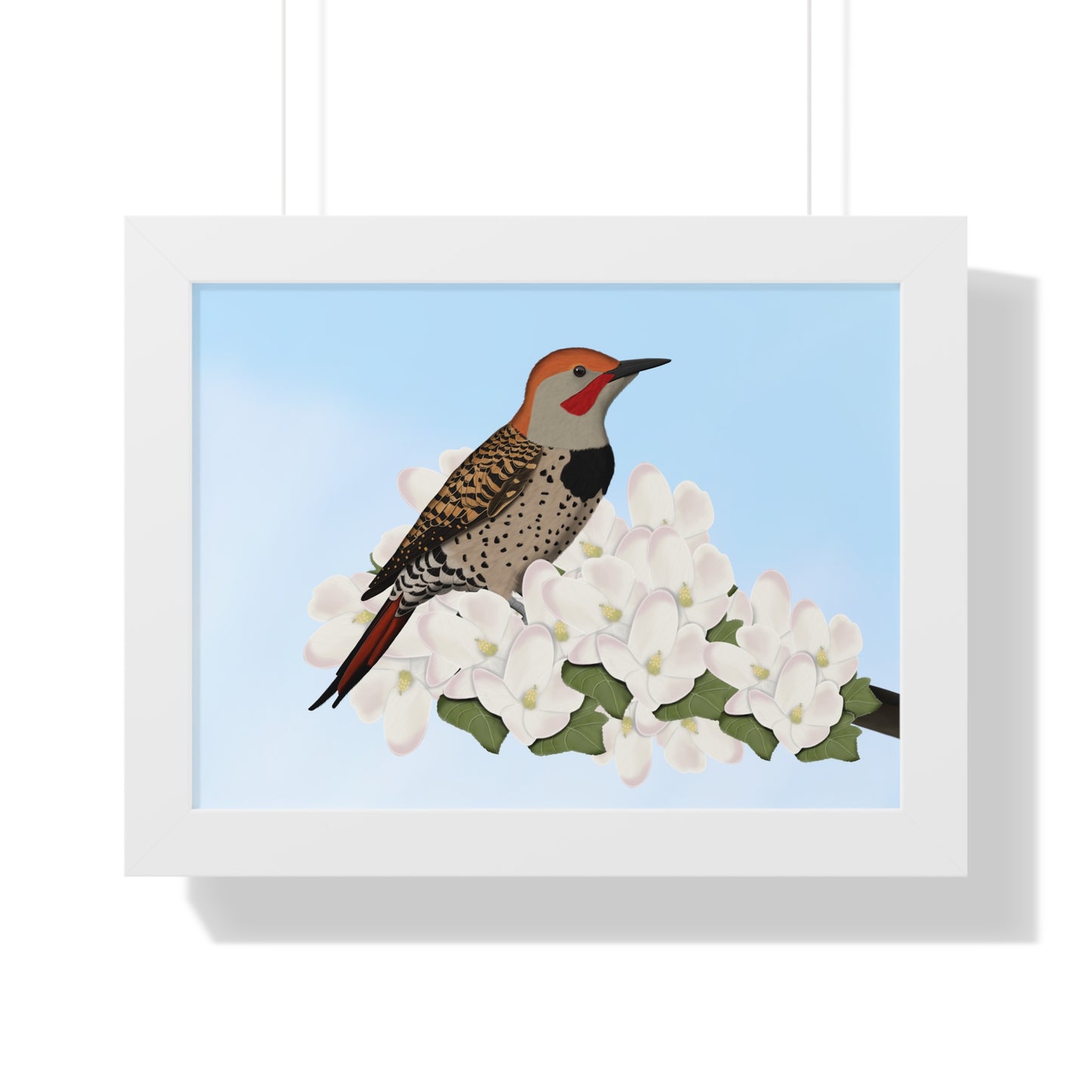 Northern Flicker Spring Blossoms Bird Framed Poster