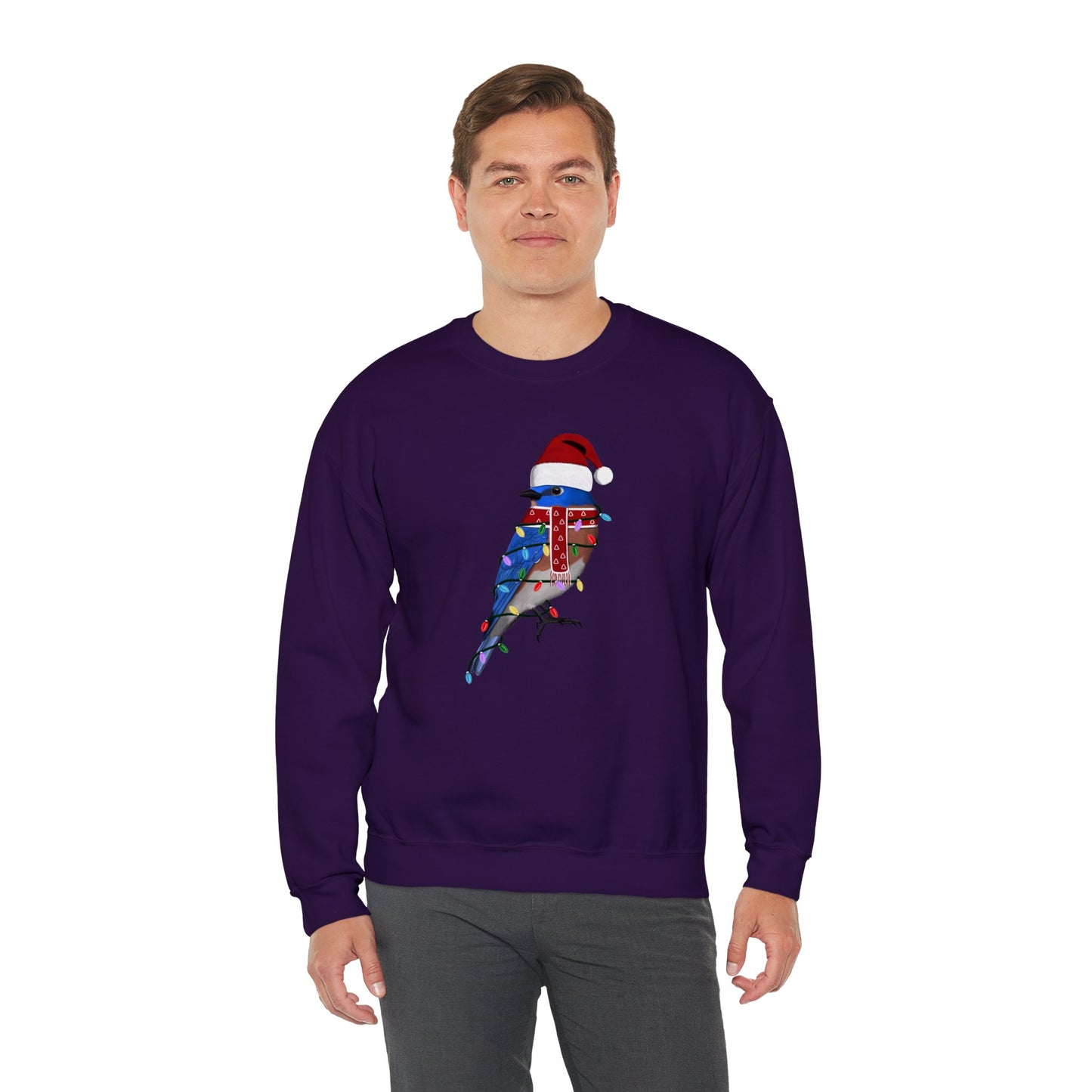 Bluebird with Fairy Lights Santa Claus Christmas Bird Sweatshirt