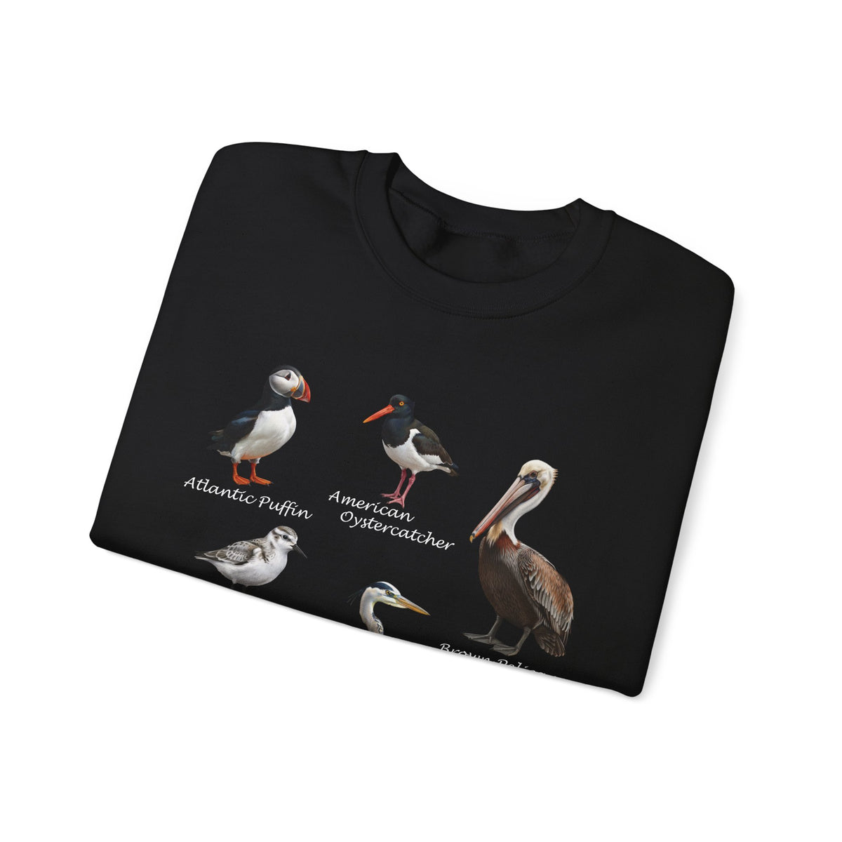 Pelican, Puffin and Heron Sweatshirt in Black
