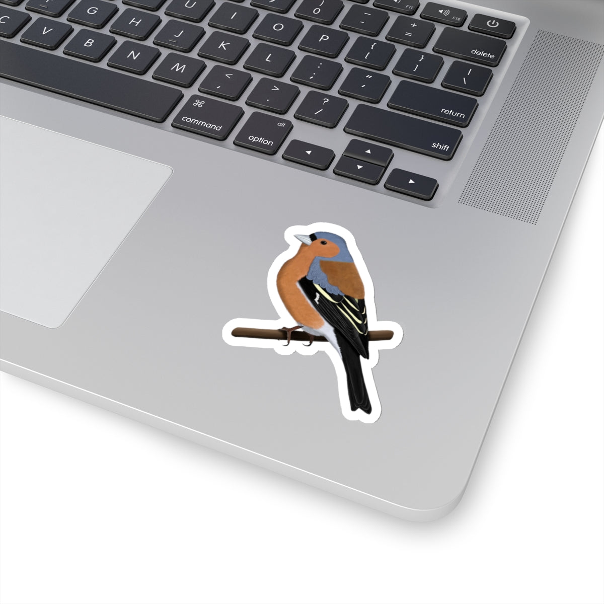 Chaffinch Bird Kiss-Cut Sticker - jz.birds