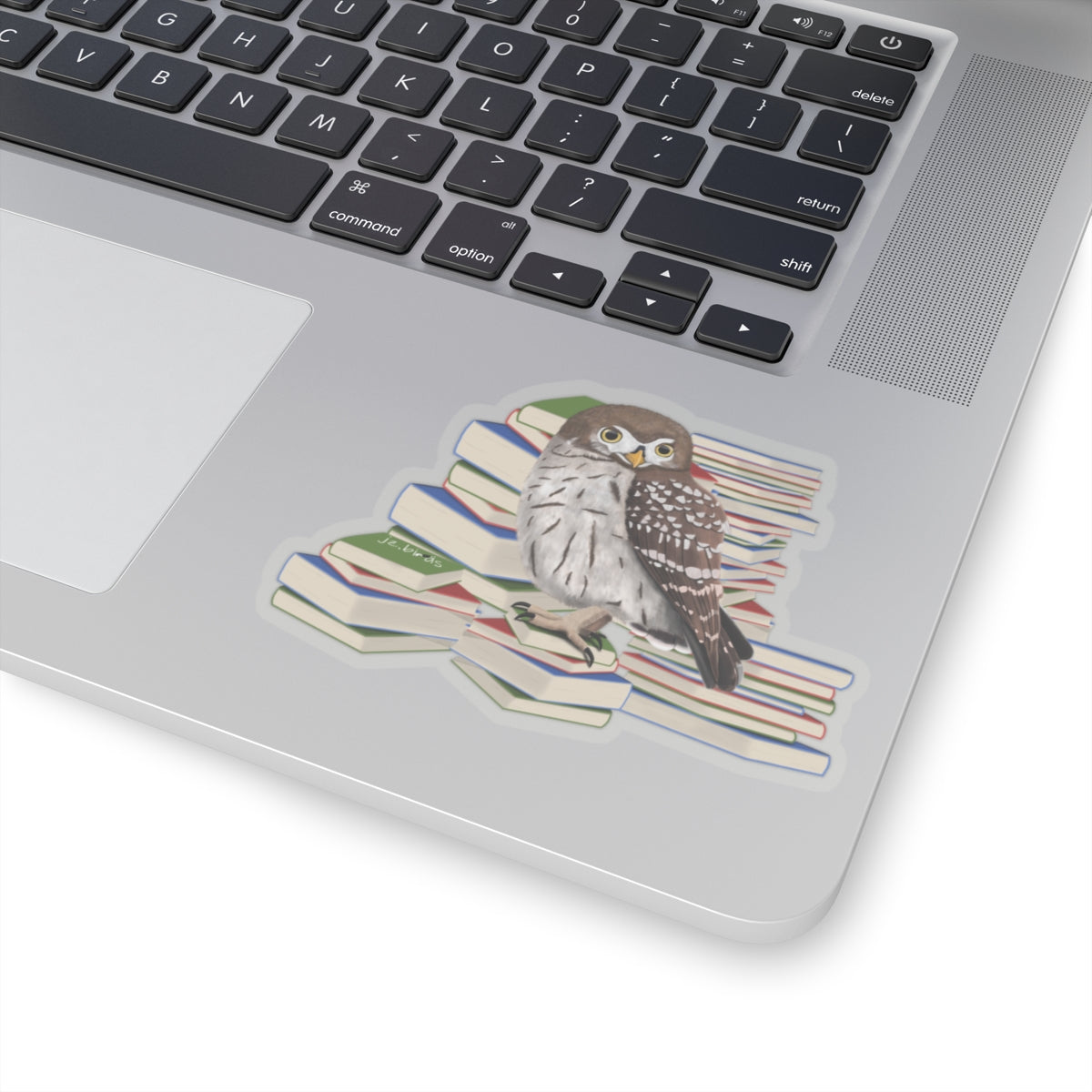 Owl Bird and Books Birdlover Bookworm Sticker