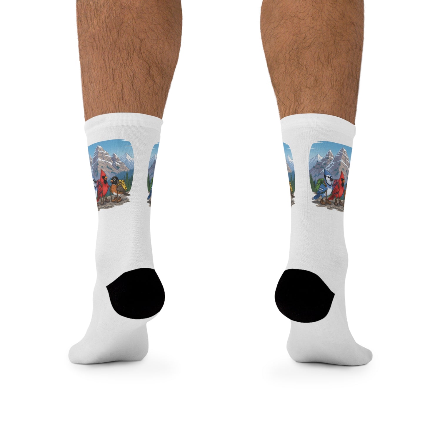 Blue Jay Cardinal Robin on a Hike Bird Socks White for Bird and Hiking Lovers One Size