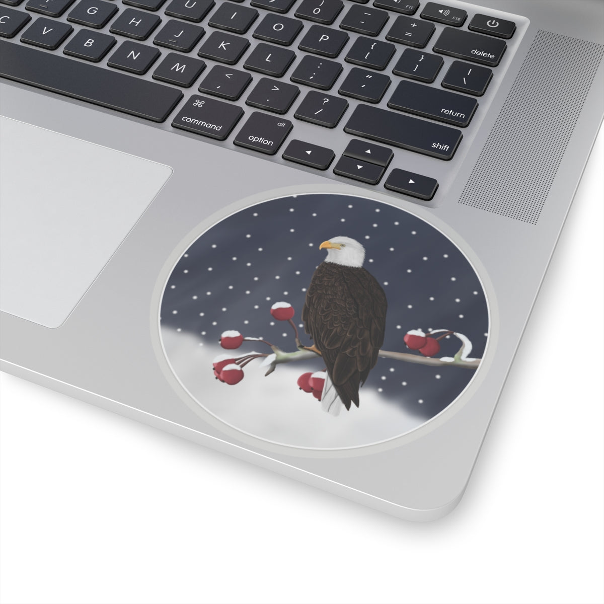 Bald Eagle on a Winter Branch Christmas Bird Sticker