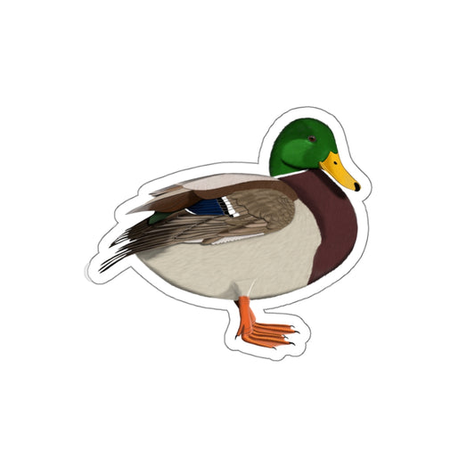 Mallard Bird Kiss-Cut Sticker