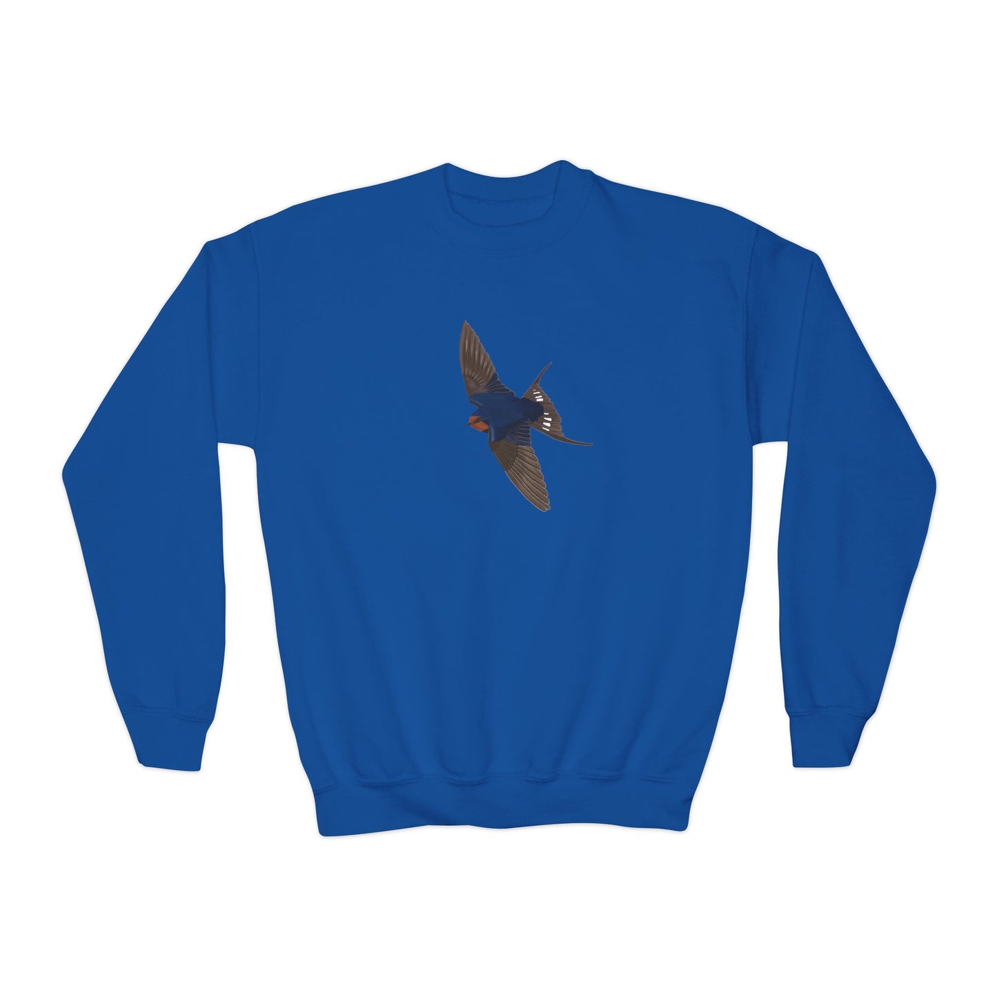Barn Swallow Youth Sweatshirts – Casual Kids Clothing, Cool Weather Outfit