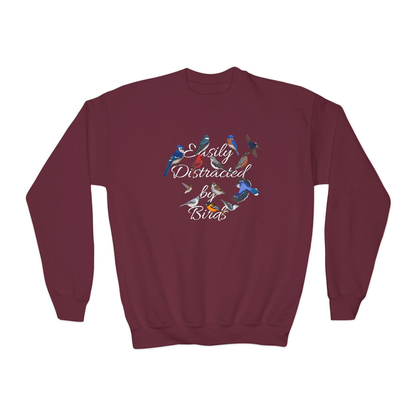 Hummingbird, Bluebird, Blue Jay, Cardinal and Nuthatch Youth Sweatshirts – Casual Kids Clothing Cool Weather Outfit style