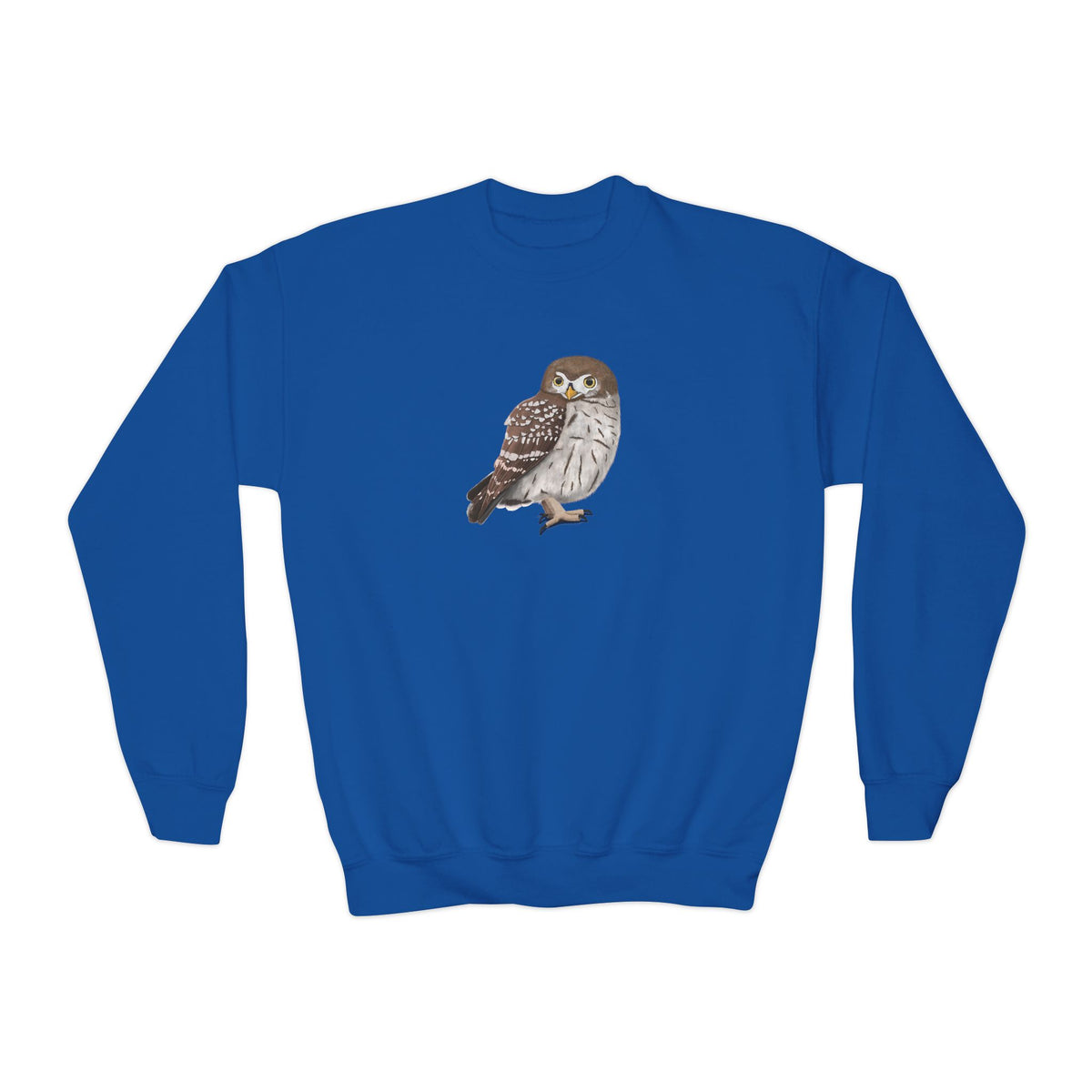 Owl Youth Sweatshirts – Casual Kids Clothing, Cool Weather Outfit