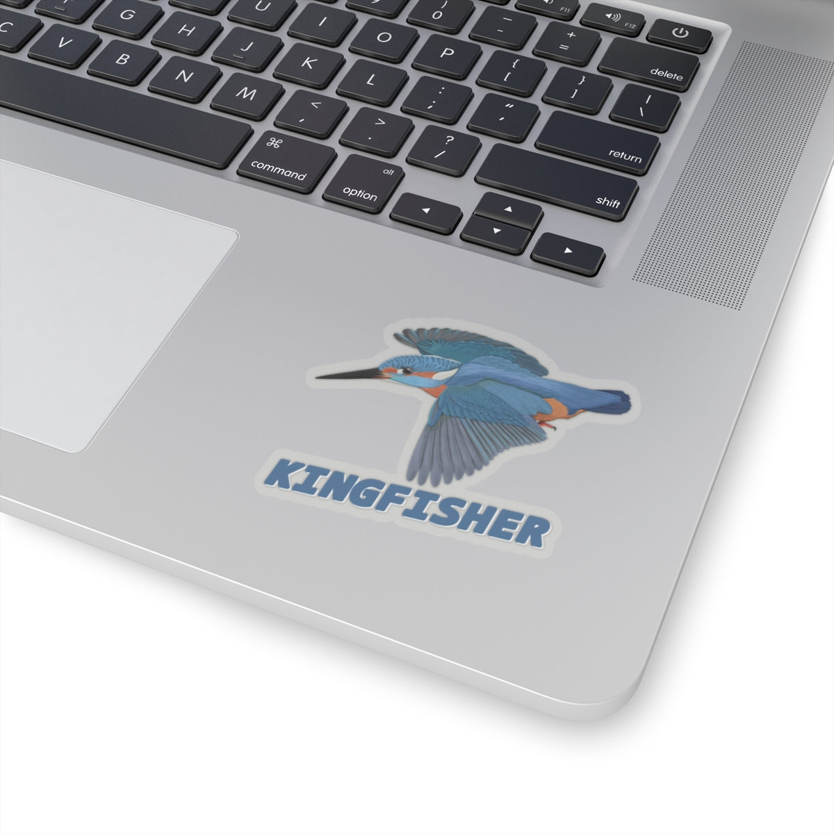Kingfisher Sticker Bird Lover & Bird Watcher