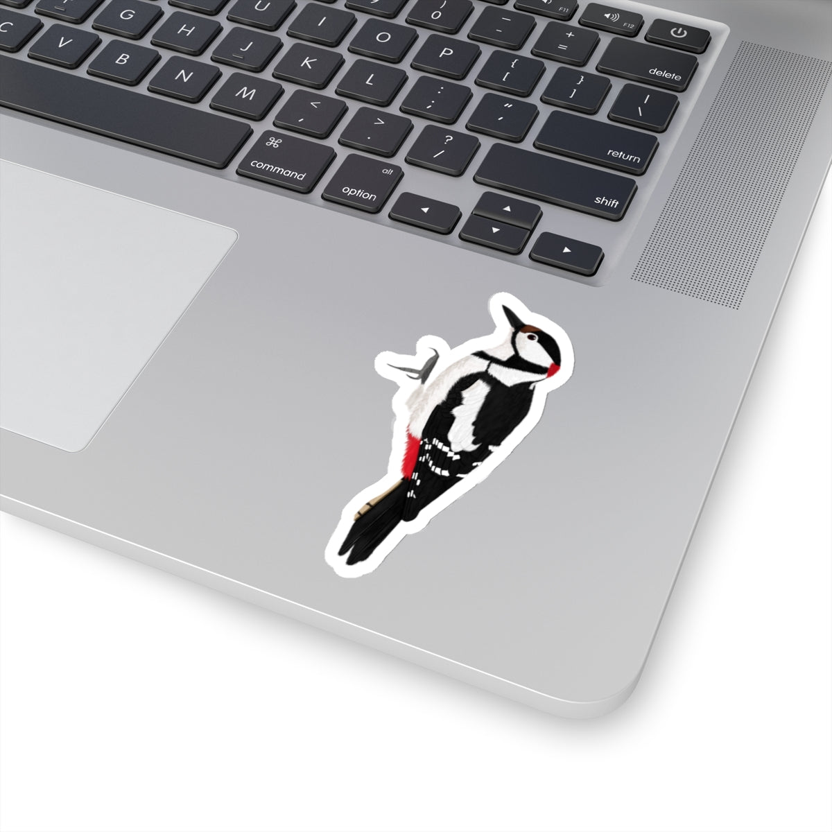 Woodpecker Bird Kiss-Cut Sticker