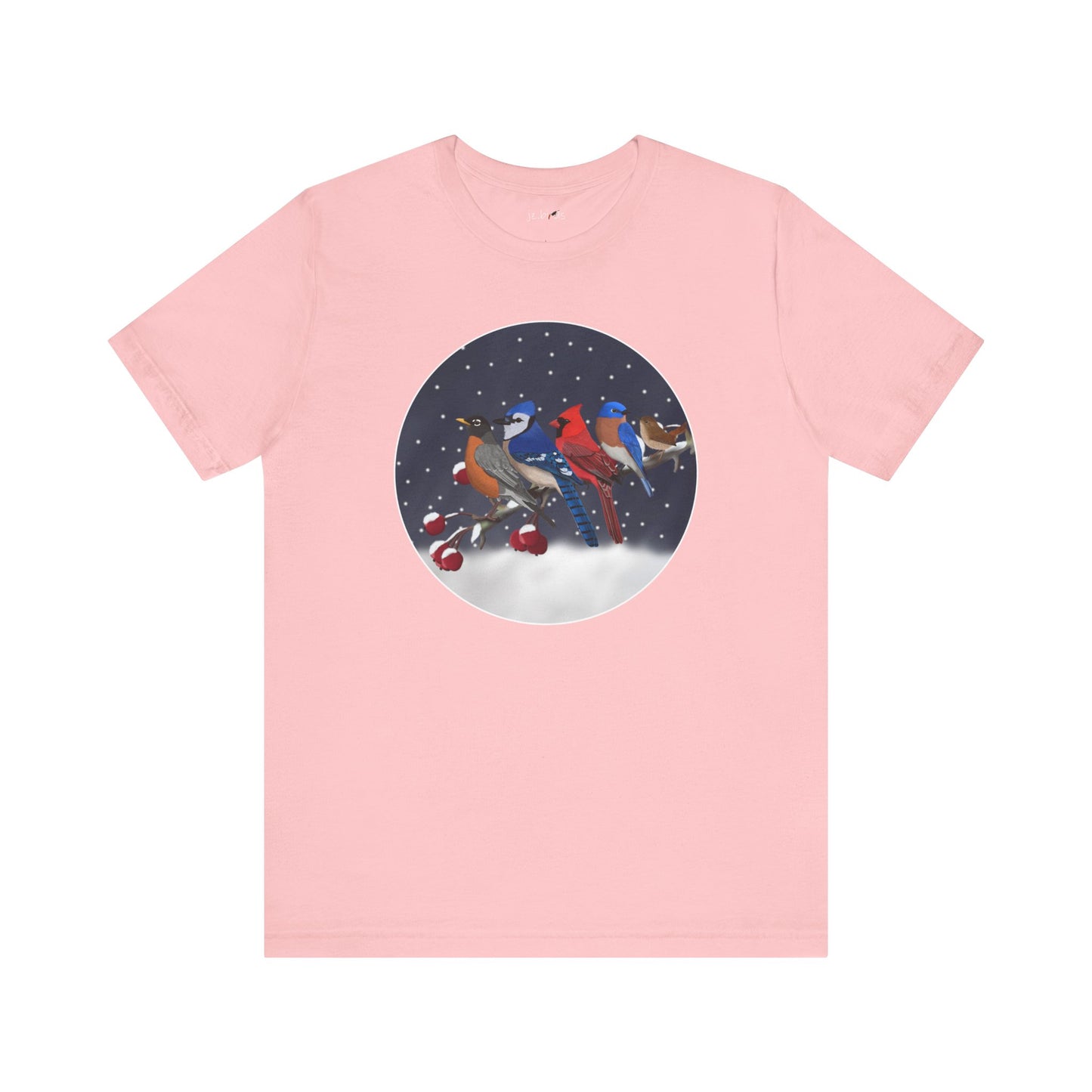 Bluebird, Blue Jay, Cardinal, Robin and Wren T-Shirt in Asphalt