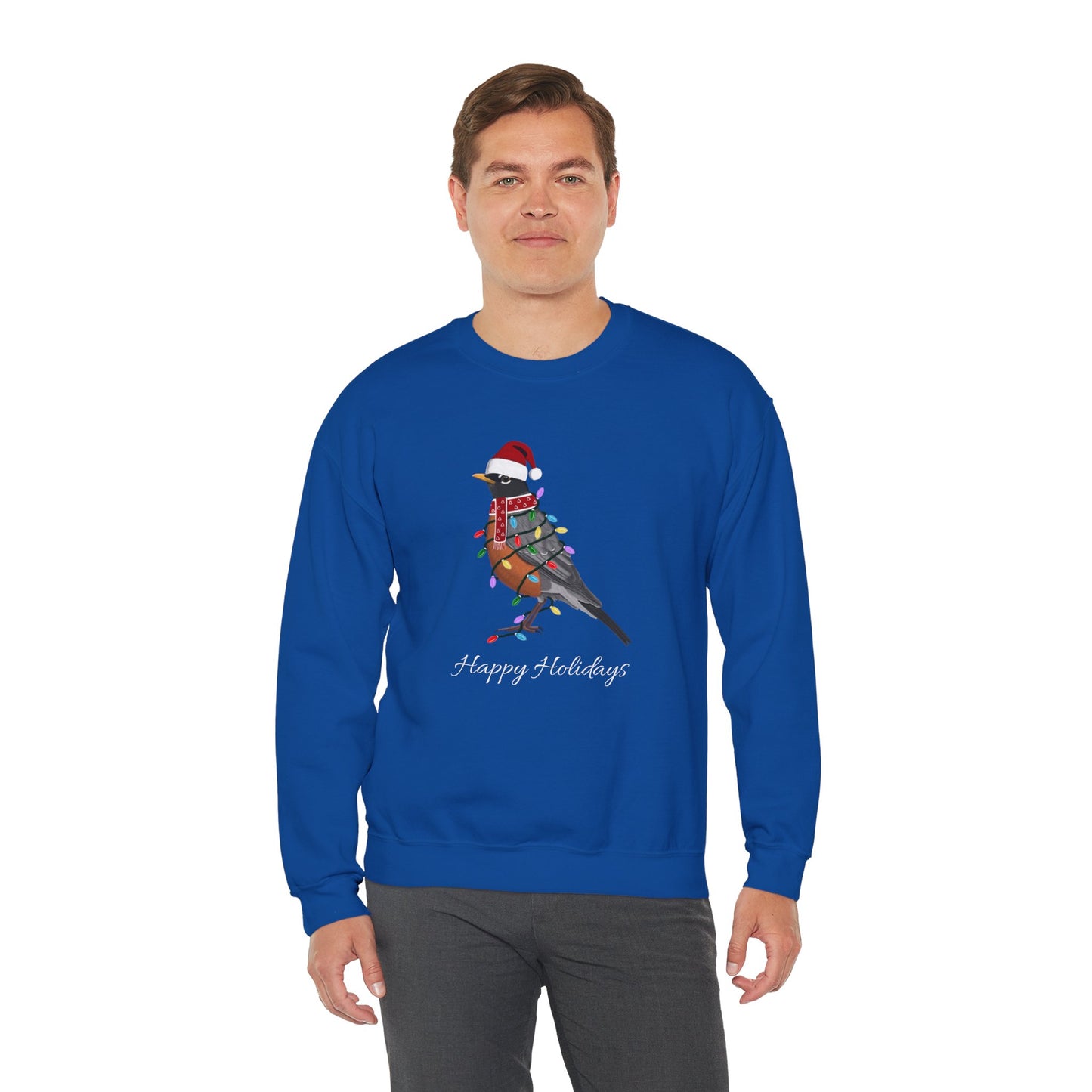 Robin with Fairy Lights as Santa Happy Holidays Birdwatcher Christmas Bird Sweatshirt