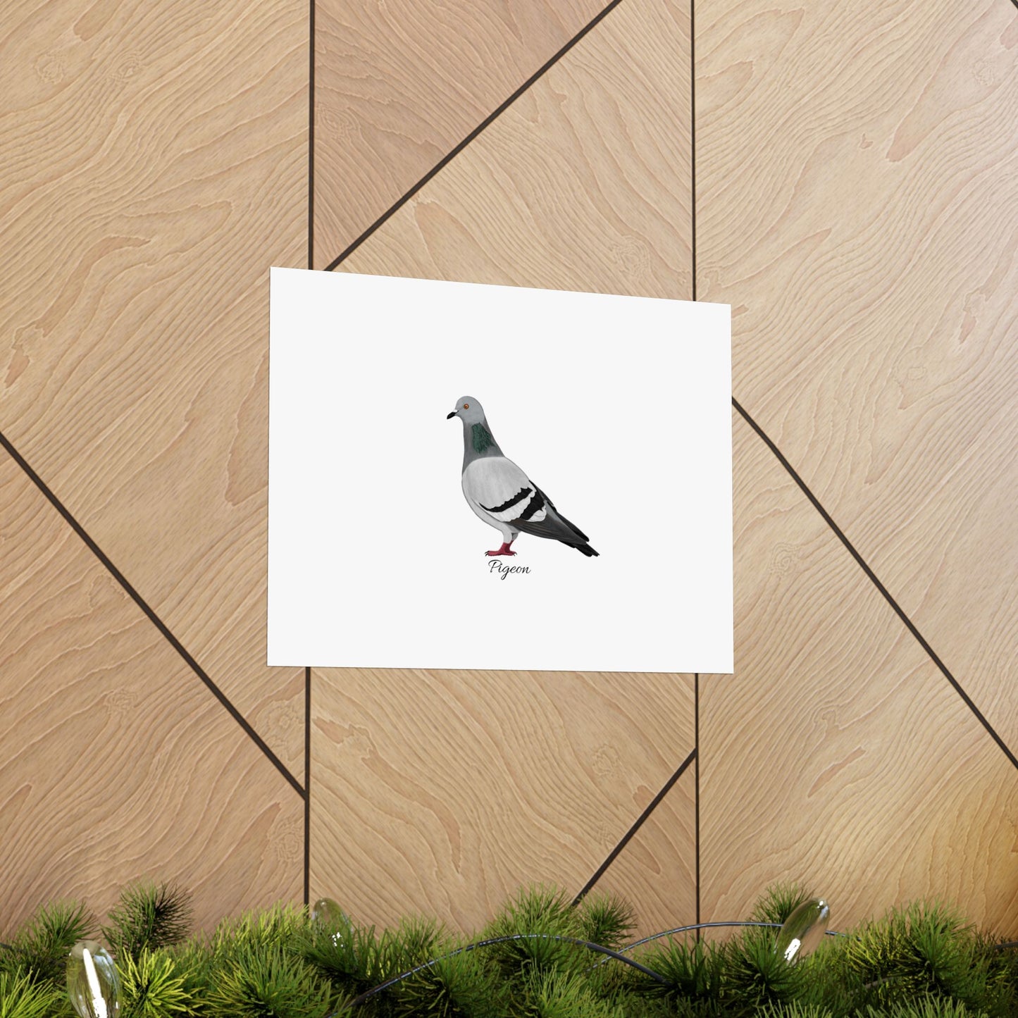 Pigeon Bird Birding Matte Poster