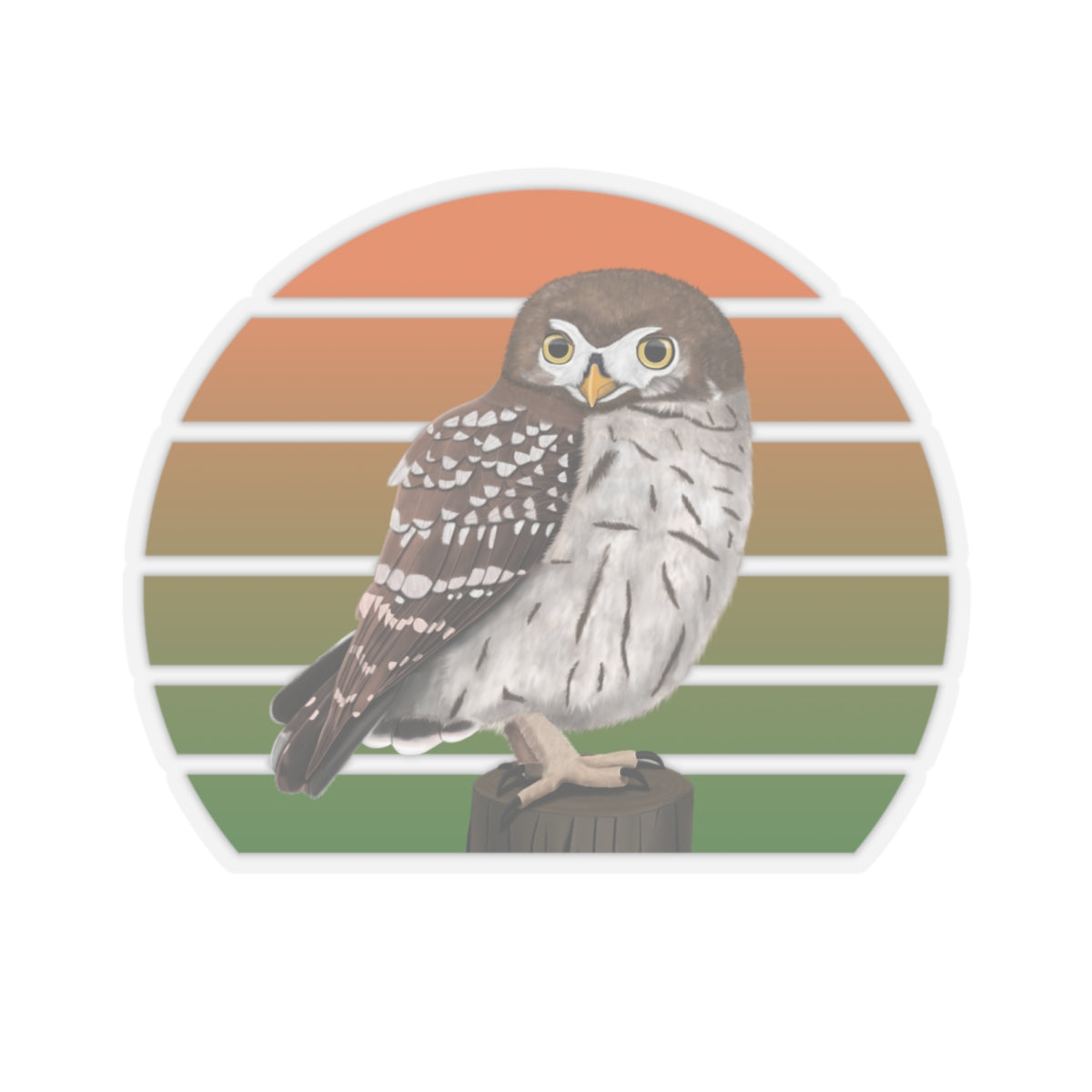 Little Owl Bird Sticker