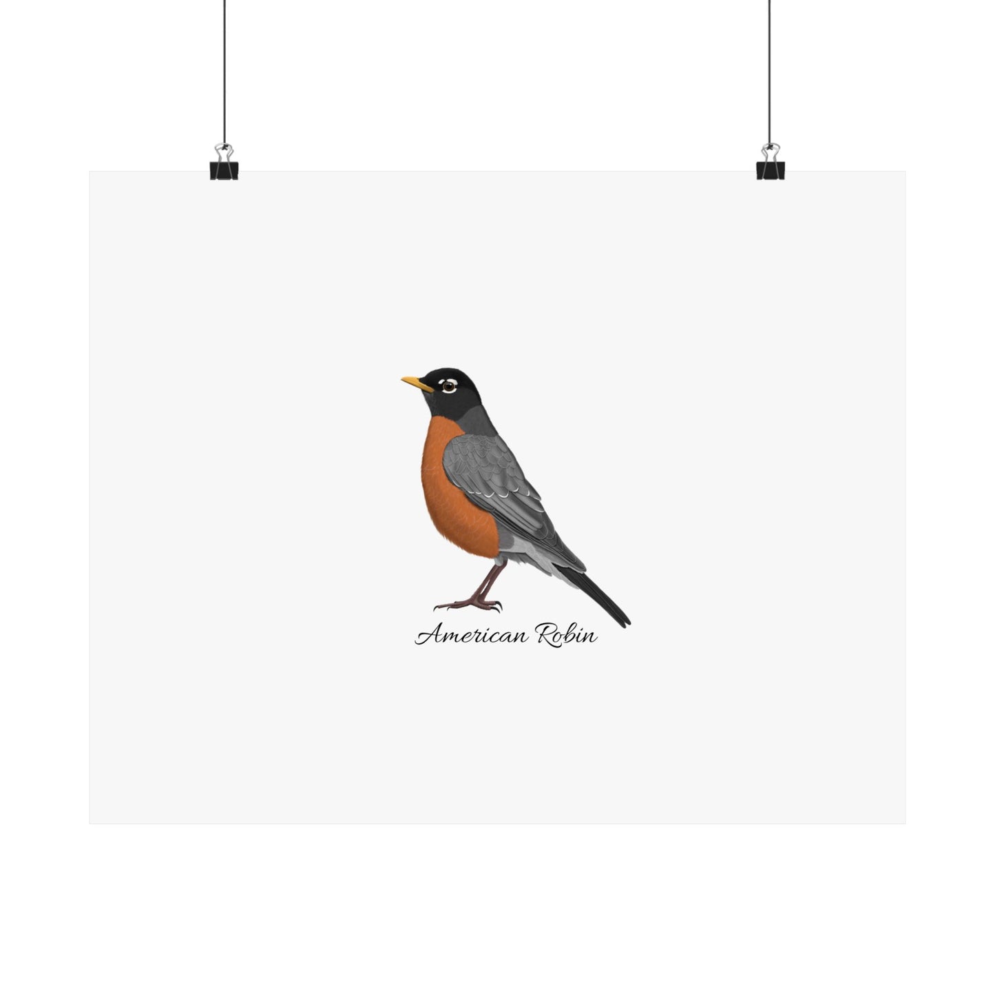 American Robin Bird Birding Matte Poster