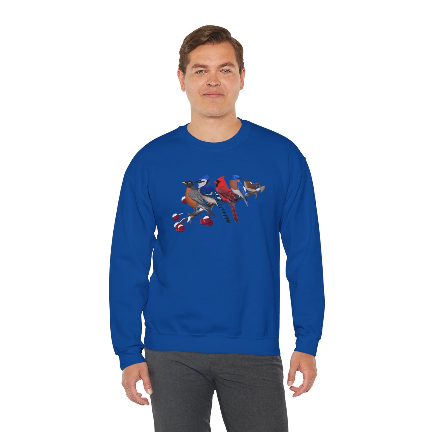 Backyard Birds Robin Blue Jay Cardinal Bluebird Wren Birdwatcher Christmas Bird Sweatshirt