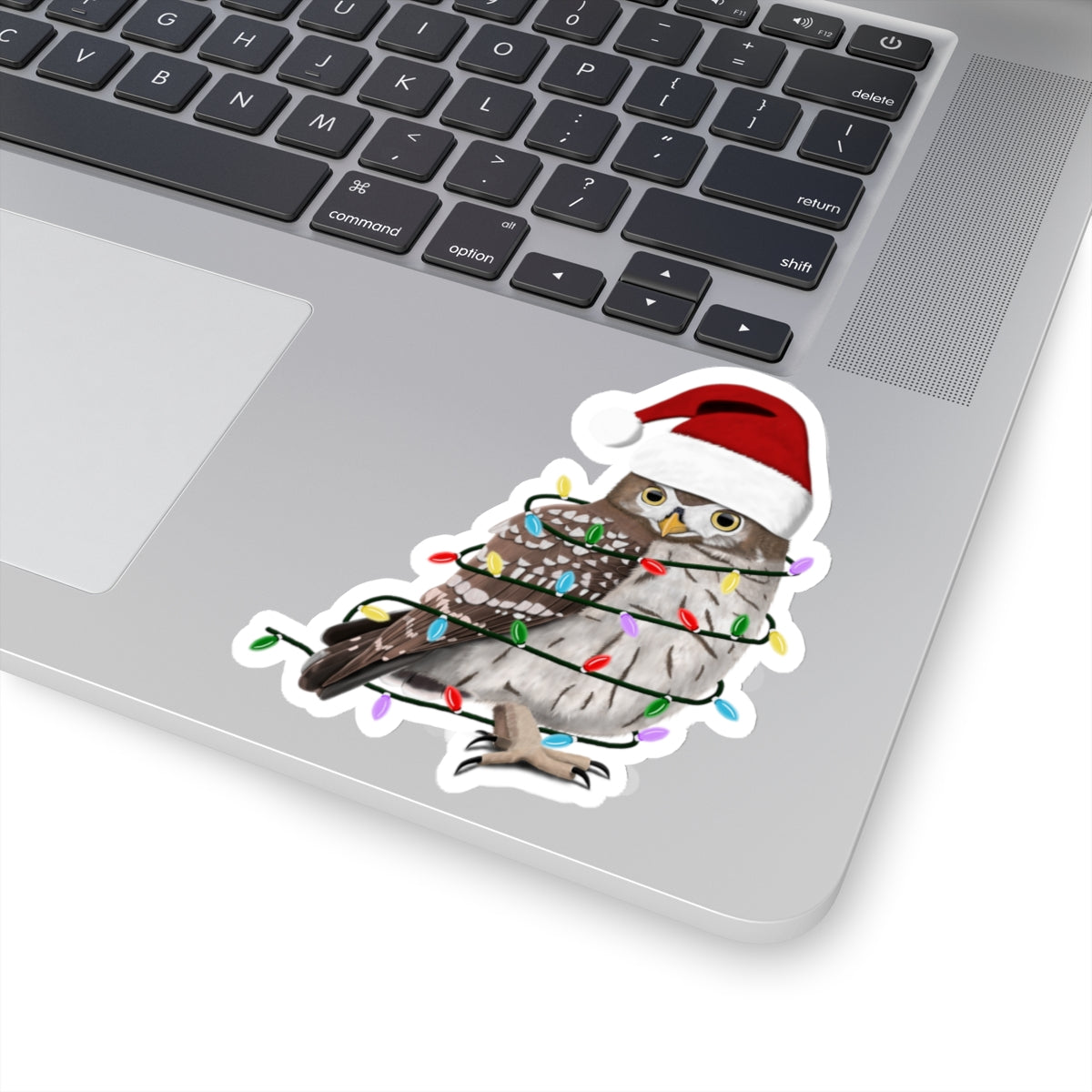 Owl Paper products – christmas and bird sticker style