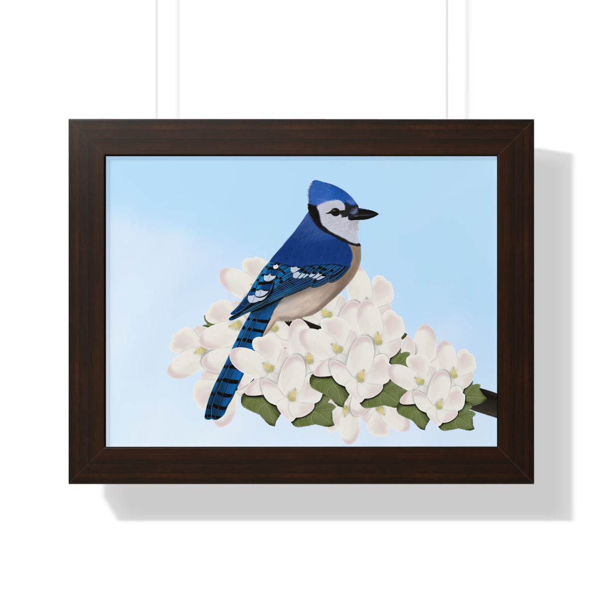 Blue Jay Framed Poster – Home & Living