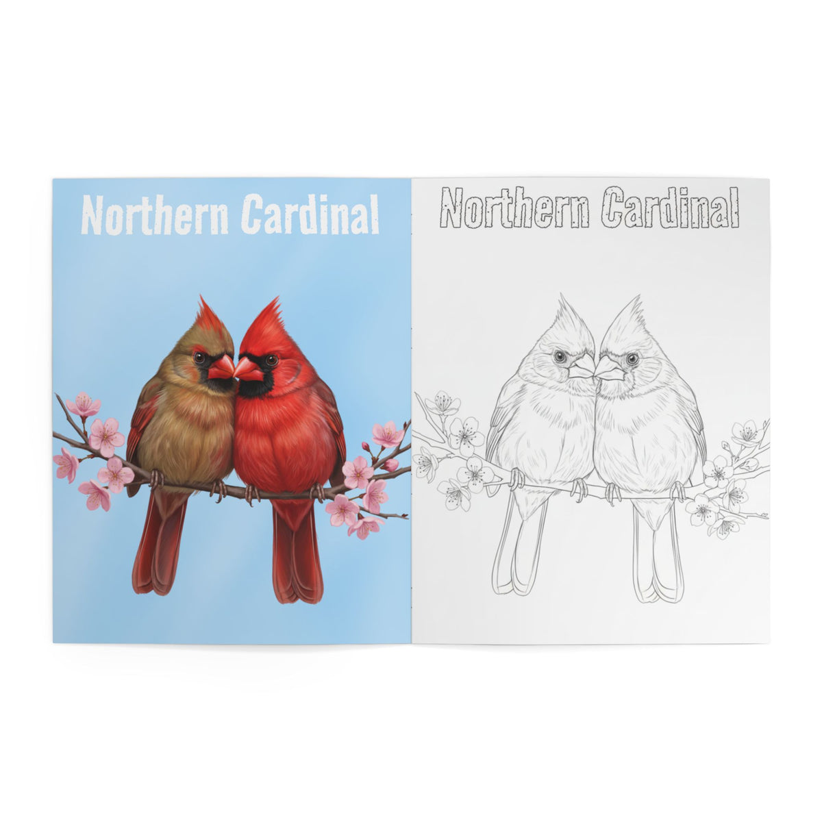 Backyard Birds of North America – Realistic Coloring Book with Full-Color Reference Art (8.5" x 11") – –