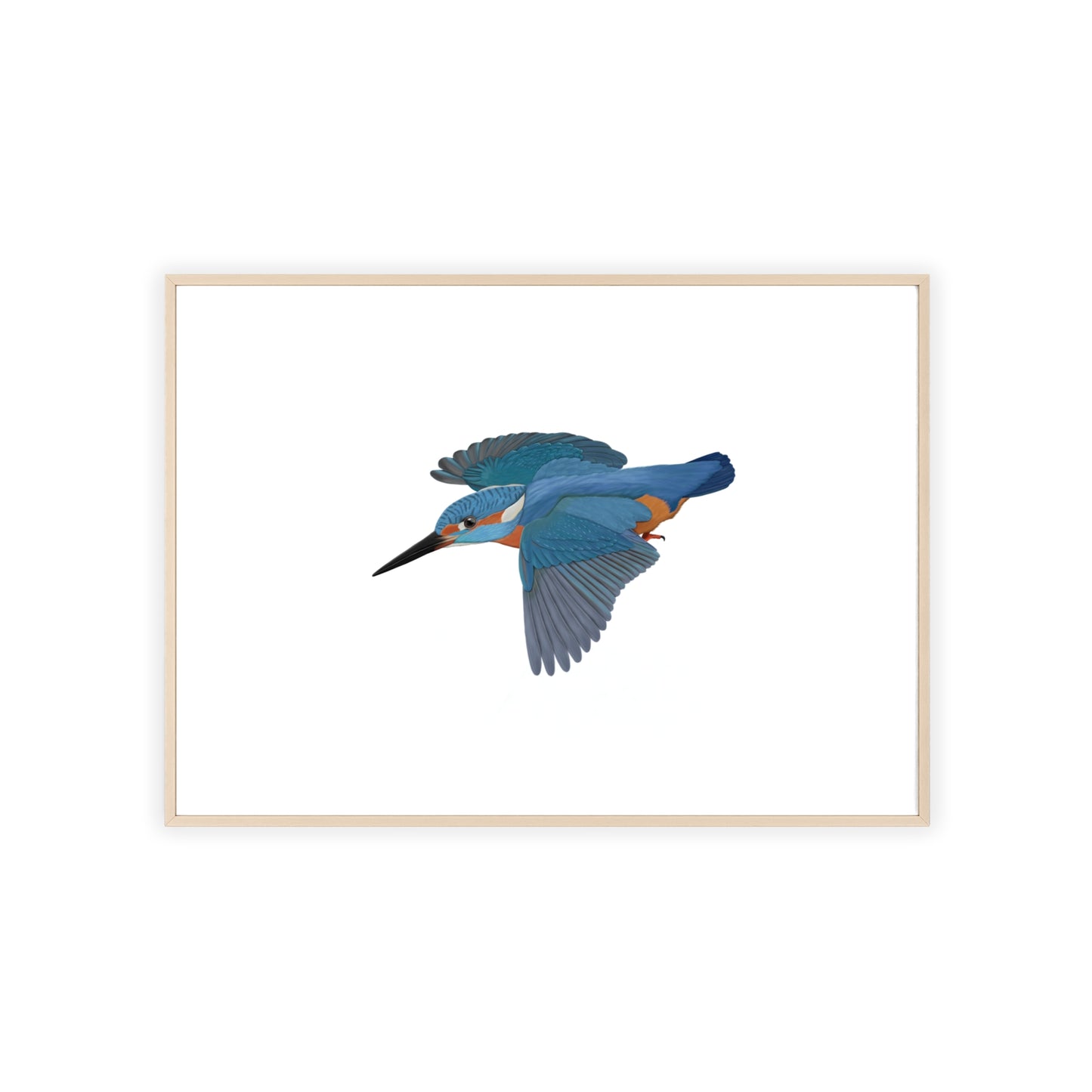 Vogel Poster im Holzrahmen - Eisvogel Poster Singvogel Weiß