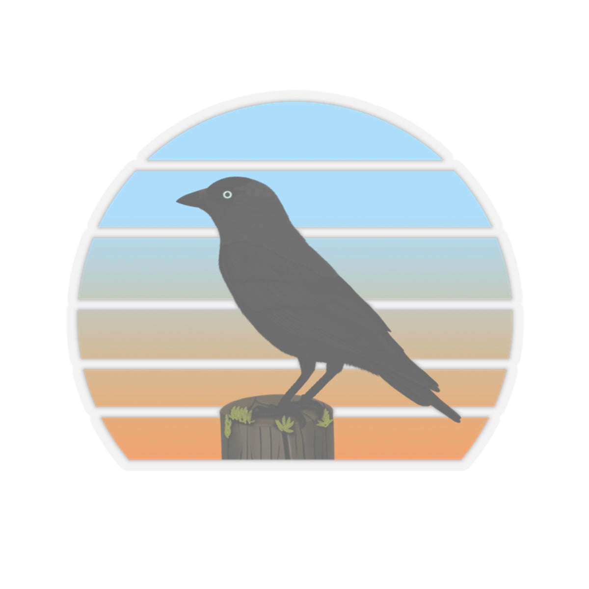 Jackdaw Bird Sticker