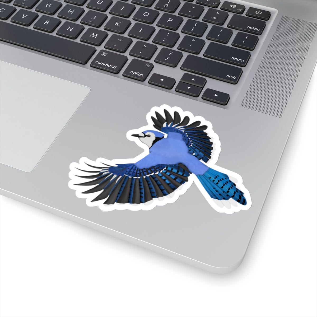 Blue Jay Birdwatcher Biologist Bird Kiss-Cut Sticker