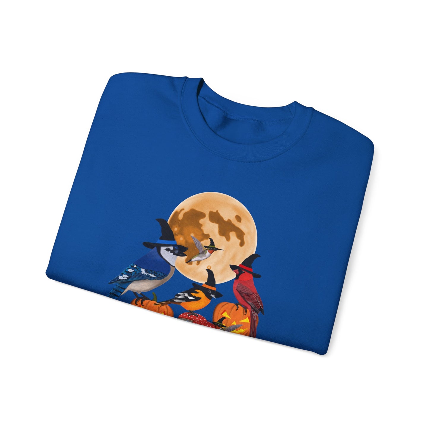 Blue Jay Cardinal Oriole Hummingbird Halloween Birds Witch Birdwatcher Sweatshirt