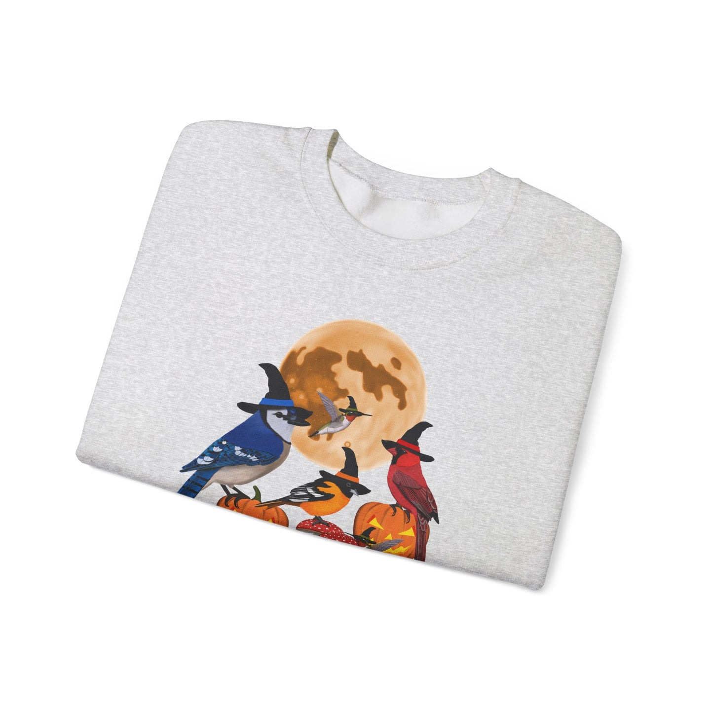 Blue Jay Cardinal Oriole Hummingbird Halloween Birds Witch Birdwatcher Sweatshirt