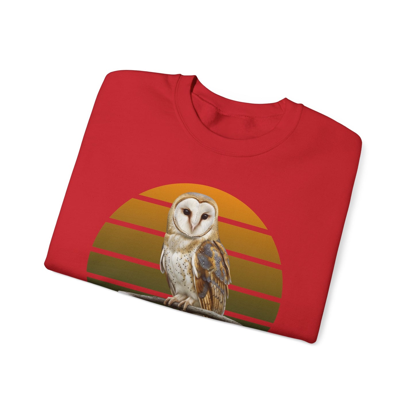 Barn Owl Sweatshirt | Bird Watcher Crewneck | Unisex Songbird Gift for Bird Lovers