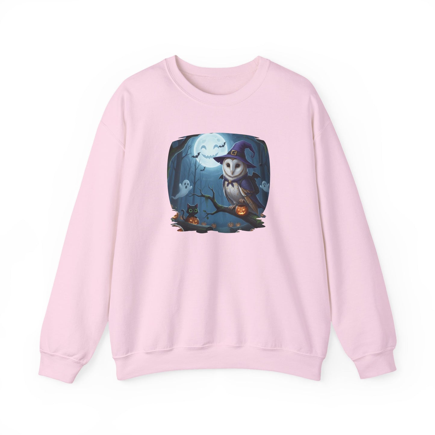 Barn Owl Halloween Bird Sweatshirt - Spooky Halloween Costume for Bird Lovers