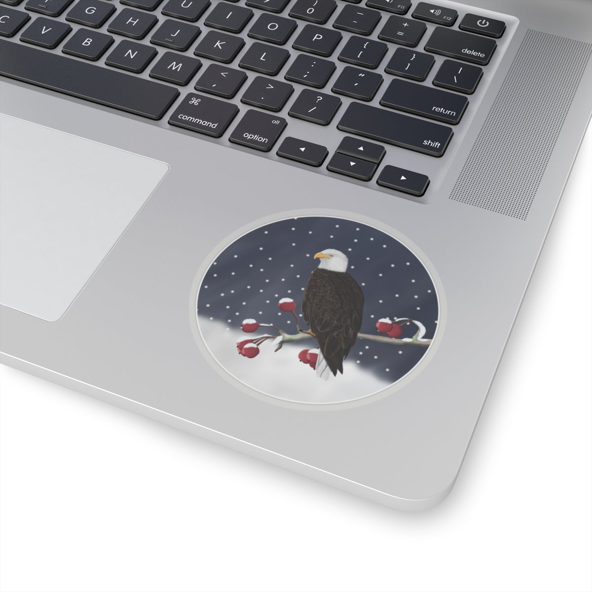 Bald Eagle on a Winter Branch Christmas Bird Sticker