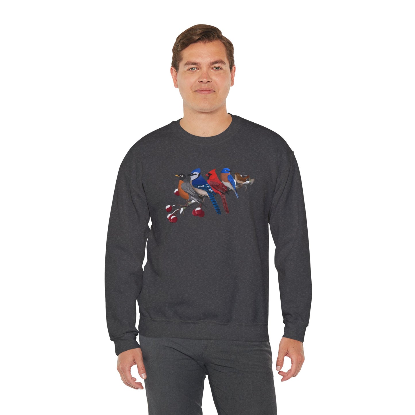 Backyard Birds Robin Blue Jay Cardinal Bluebird Wren Birdwatcher Christmas Bird Sweatshirt
