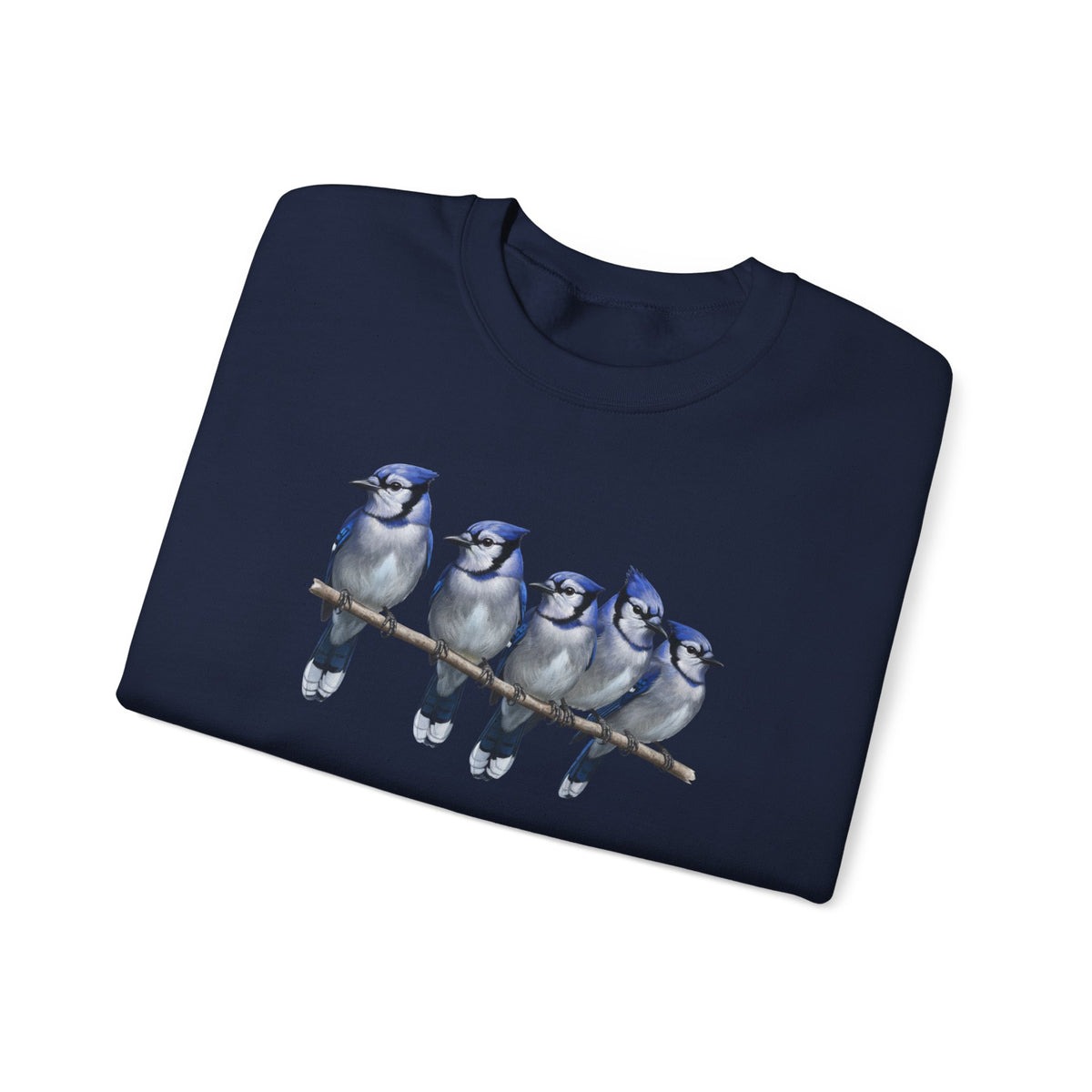 Blue Jays Sweatshirt | Bird Watcher Crewneck | Unisex Songbird Gift for Bird Lovers