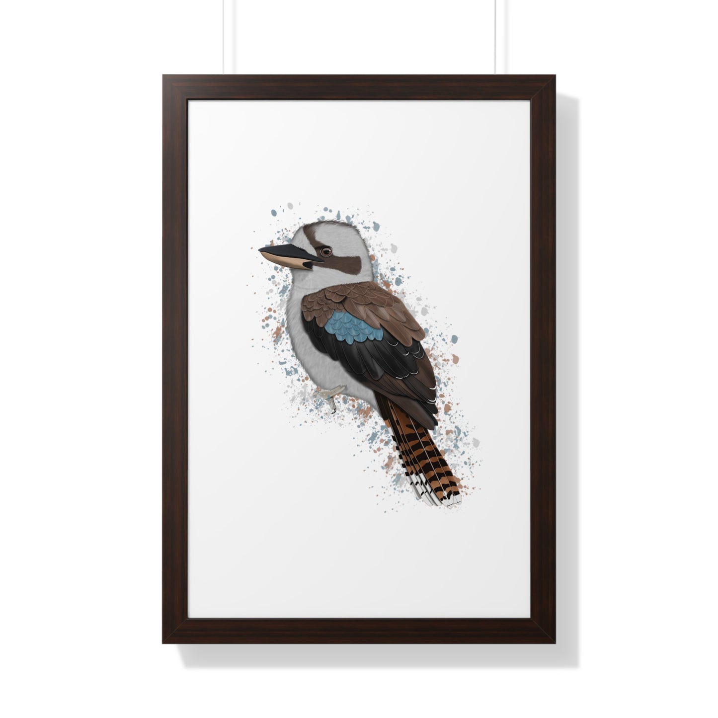 Kookaburra Bird Framed Poster –