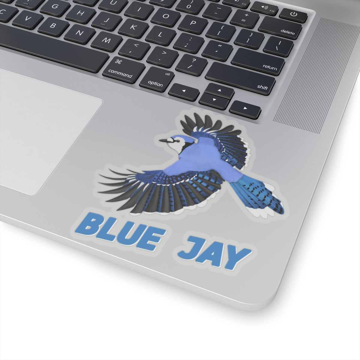 Blue Jay Sticker Bird Lover & Bird Watcher