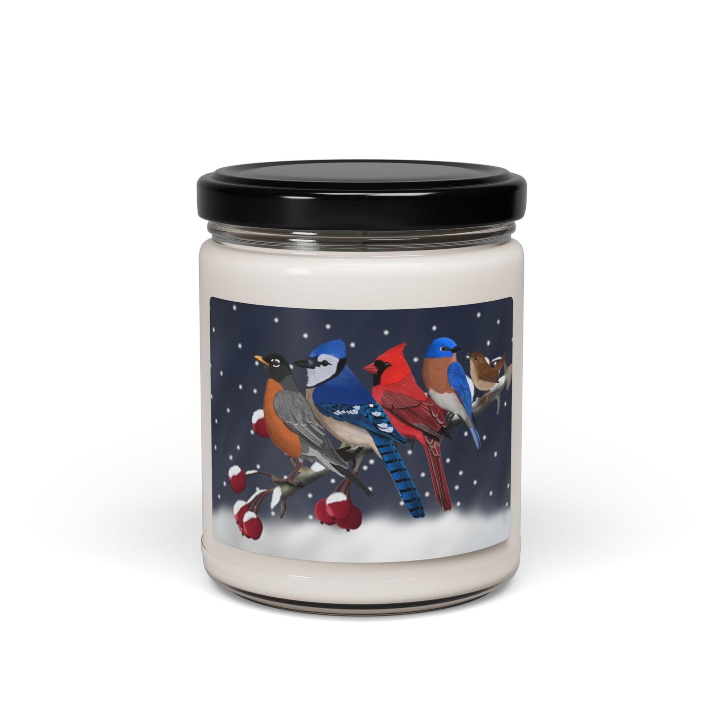 Robin Blue Jay Cardinal Bluebird Wren on a Winter Branch Christmas Bird Art Scented Soy Candle, 9oz