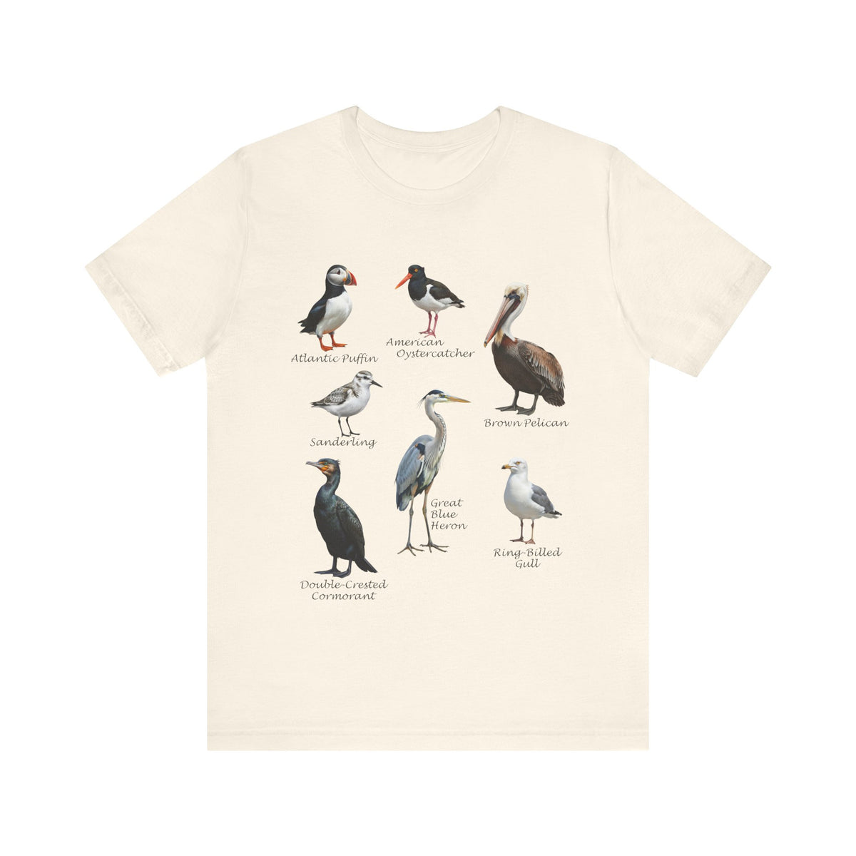 North American Shorebirds Shirt – Pelican, Heron, Puffin & Gull Field Guide – bird lover t-shirt,
