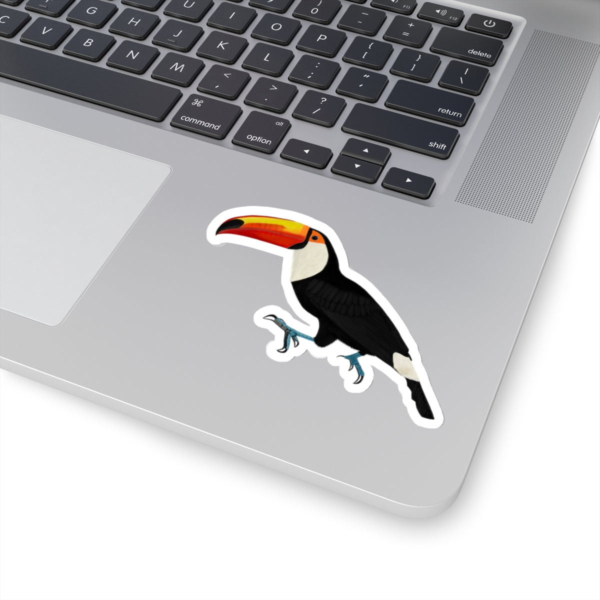 Toucan Bird Kiss-Cut Sticker - jz.birds