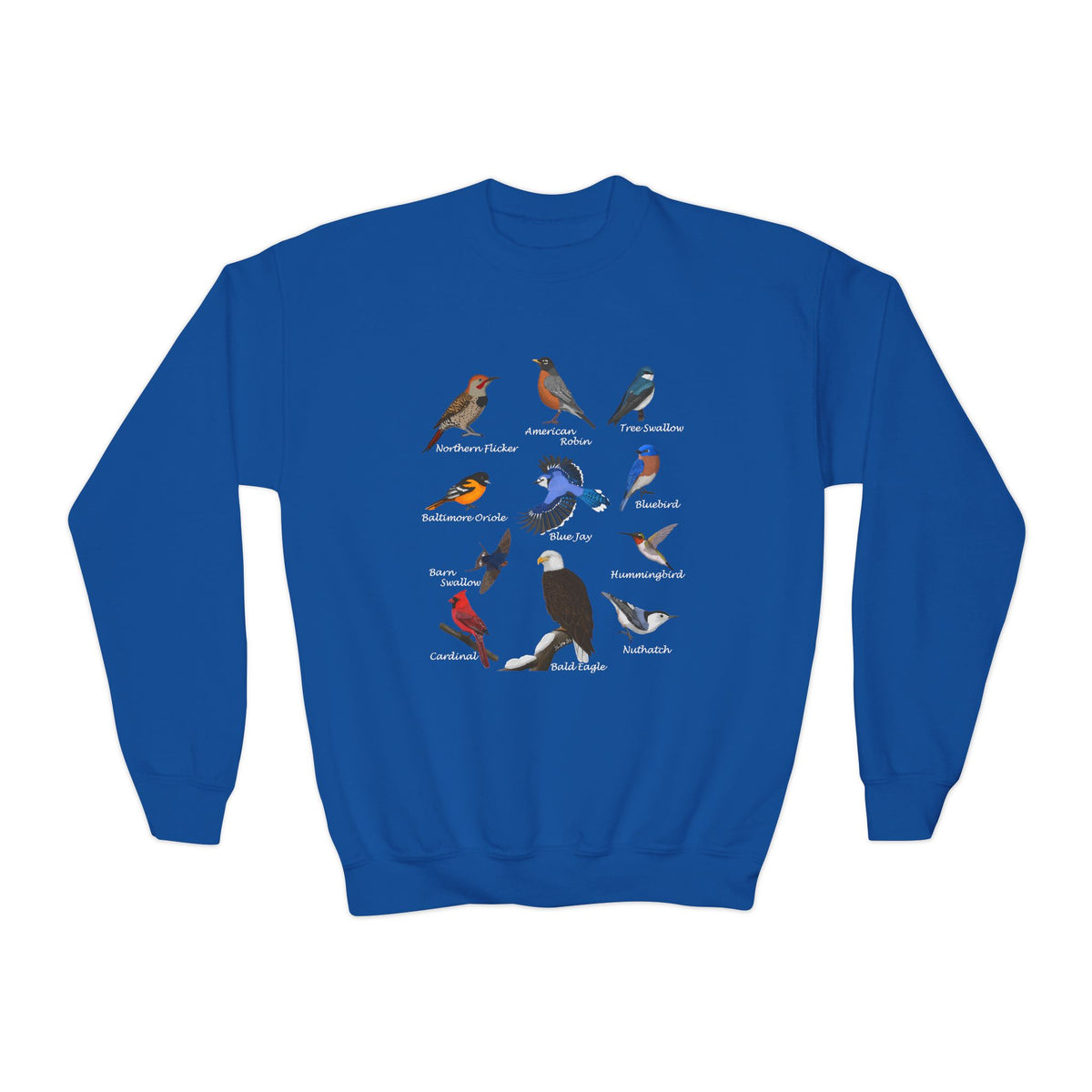 Hummingbird, Bluebird, Blue Jay, Cardinal, Robin and Eagle Youth Sweatshirts – Casual Kids Clothing, Cool Weather Outfit