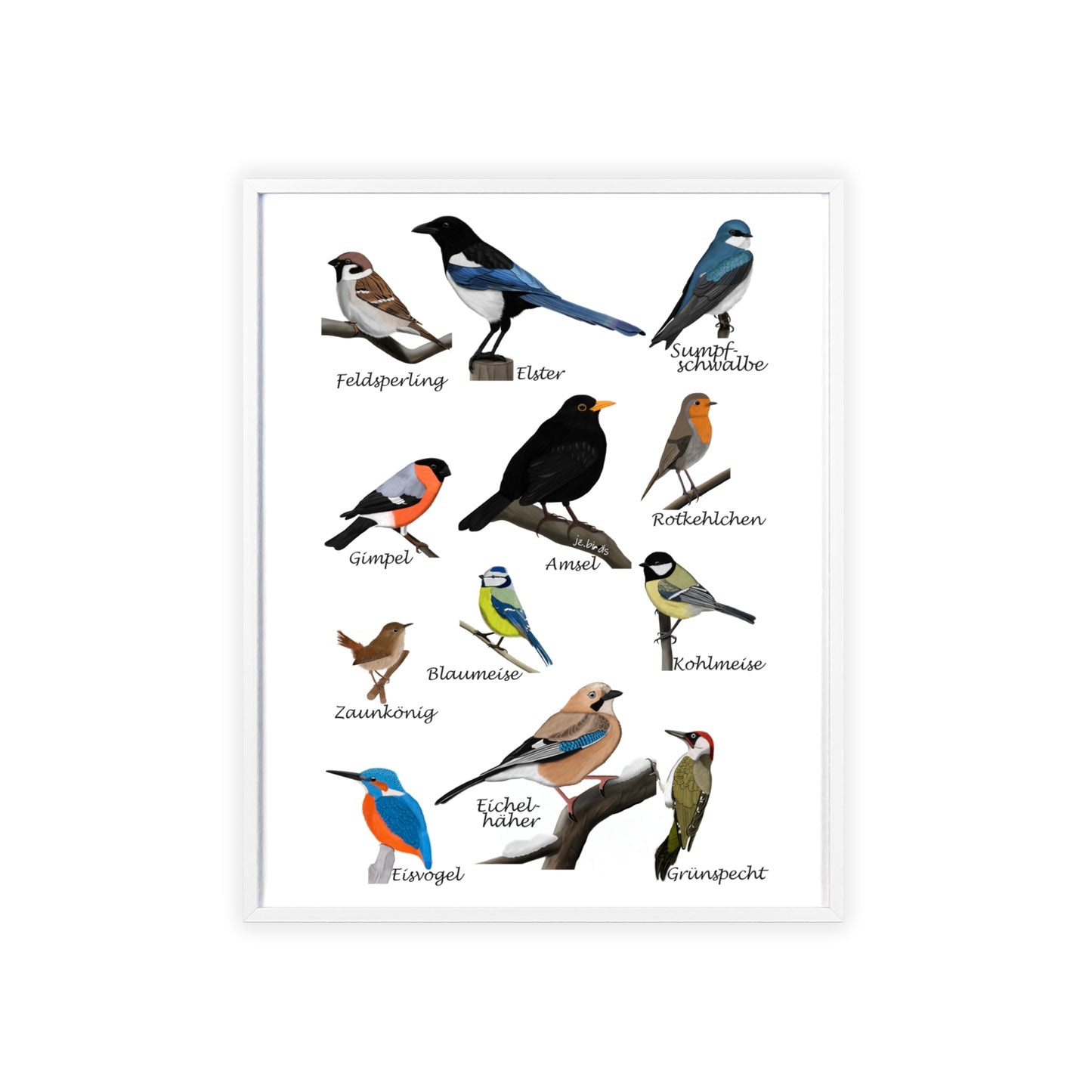 Vogel Poster im Holzrahmen - Gartenvögel Amsel Rotkehlchen Blaumeise