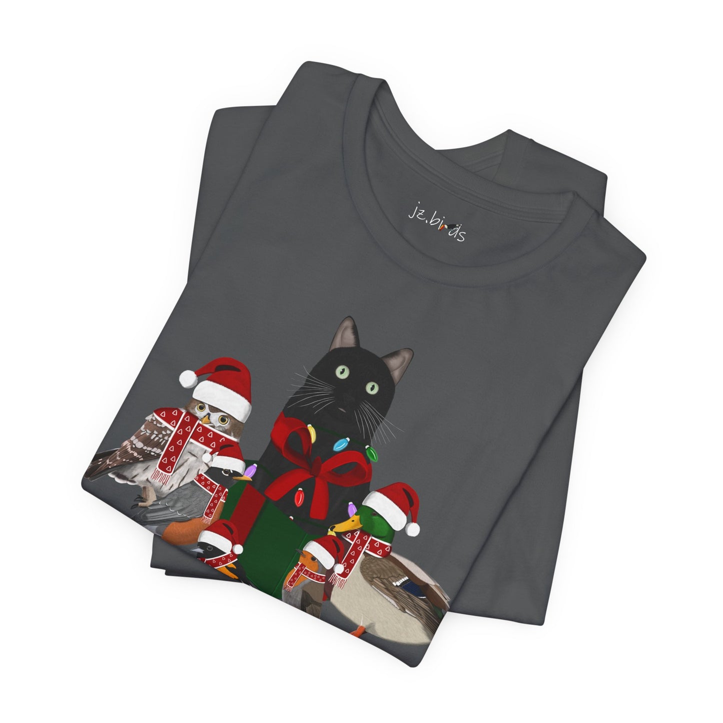 Robin Mallard Oriole Owl with Cat in a Box and Fairy Lights Christmas Bird T-Shirt