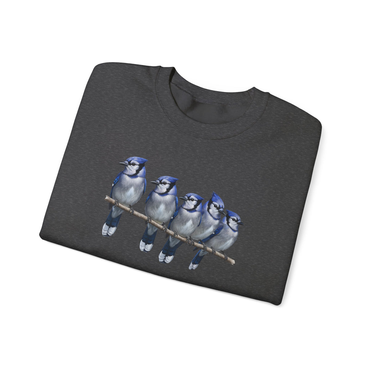 Blue Jays Sweatshirt | Bird Watcher Crewneck | Unisex Songbird Gift for Bird Lovers