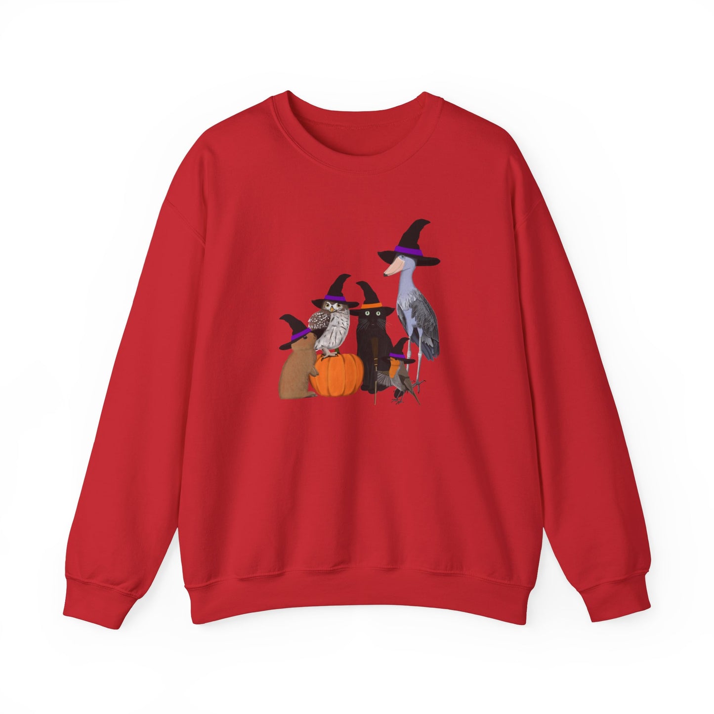 Shoebill, Robin and Owl Sweatshirt – Animal Lover Gift Avian Enthusiast style