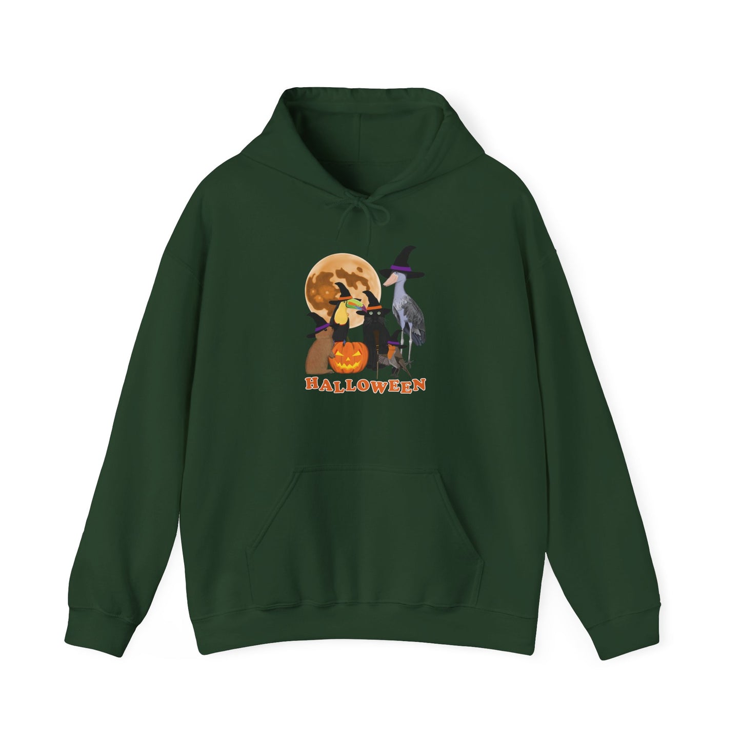 Shoebill, Toucan and Robin Hoodie – bird DTG style