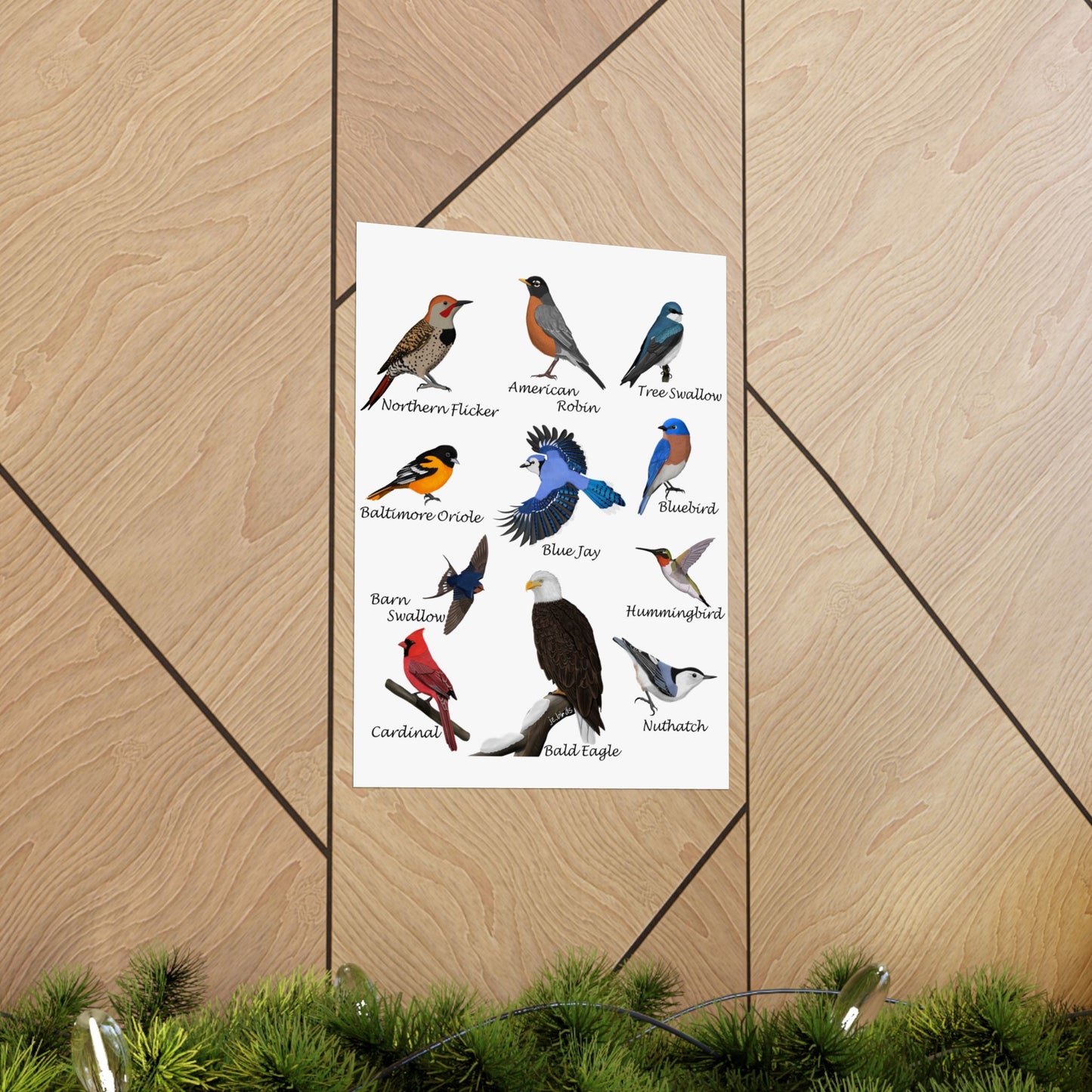 American Birds Poster Robin Blue Jay Cardinal Hummingbird Bird Watcher & Bird Lover